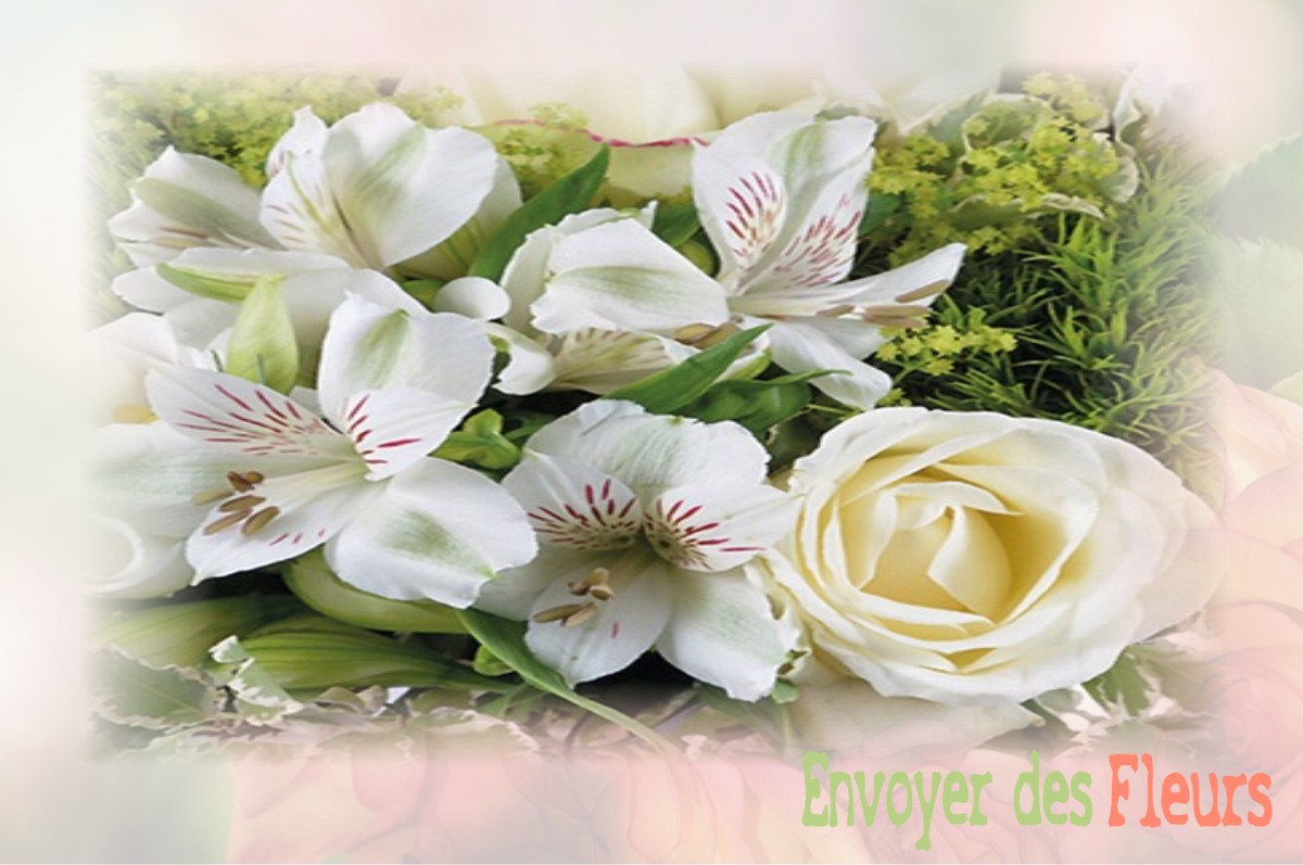 envoyer des fleurs à à MAROLLES-LES-BRAULTS